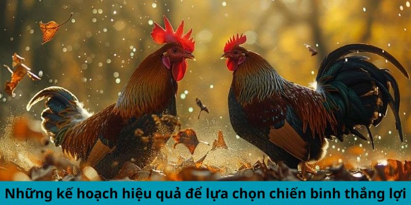 Những kế hoạch hiệu quả để lựa chọn chiến binh thắng lợi