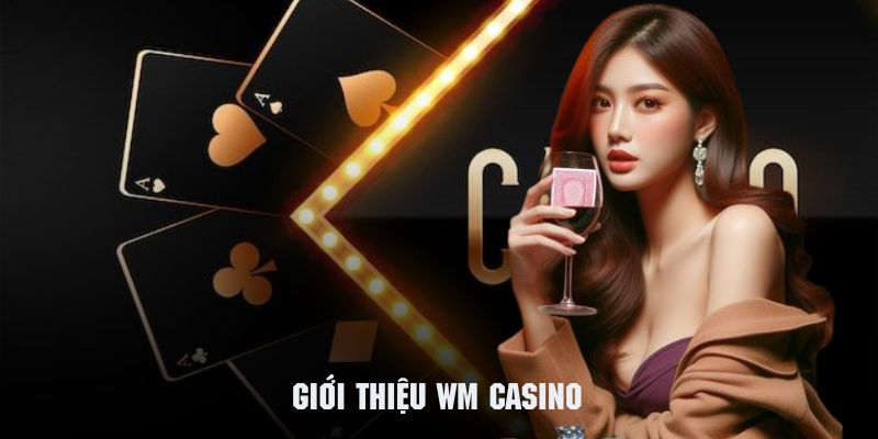 Giới thiệu sơ lược về sự hình thành của WM Casino J88